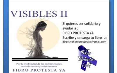 Participación en el libro de VISIBLES II